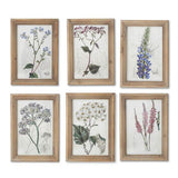 Set of 6 Botanical Prints