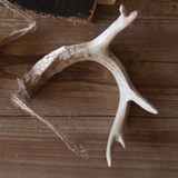 Set of 6 Antler Ornament (variety of colors)